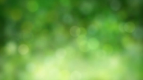 Looped animated abstract green natural background with defocused particles floating - Footage, Video