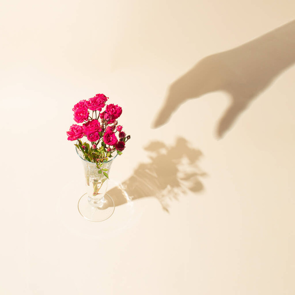 Summer pink flowers in the vase with womans hand shadow. Minimal concept. - Фото, зображення
