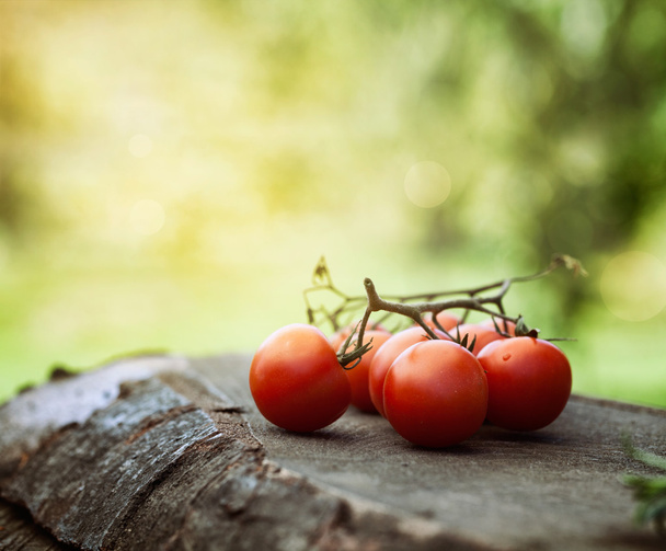 Tomatoes - Фото, зображення