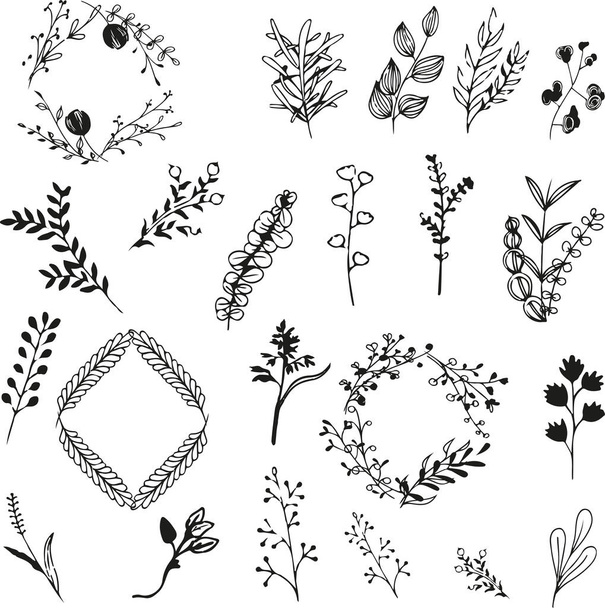 floral elements and flowers  - Vektori, kuva