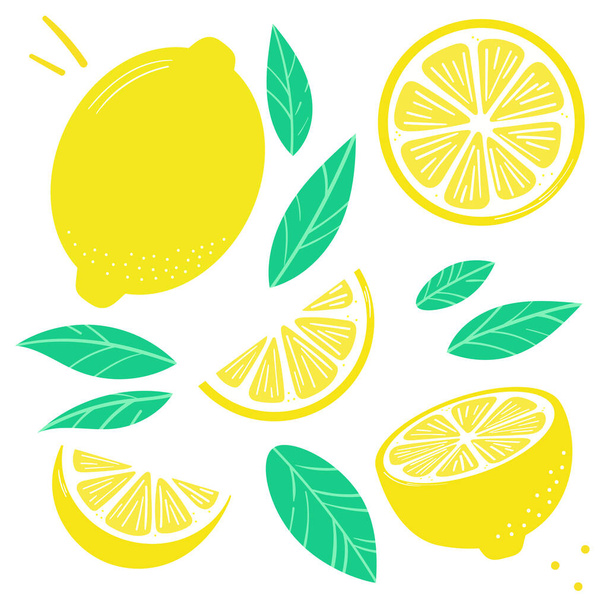 Limon vektör klipsi seti, düz illüstrasyon, turunçgil meyvesi - Vektör, Görsel