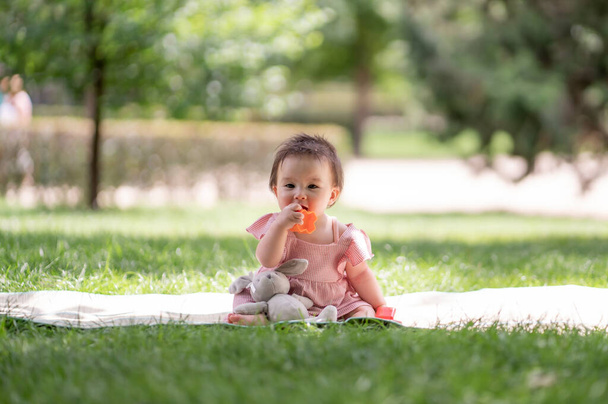 adorable and happy baby girl playing outdoors in the park - portrait of 7 or 8 months old beautiful little child smiling cheerful sitting on mat on grass at city park playing with plastic blocks - Photo, image