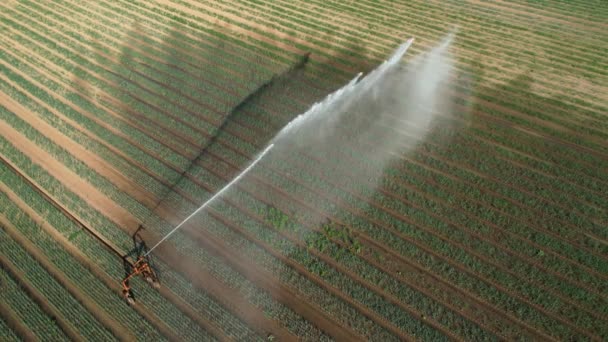 Irrigação em um campo na seca e calor do verão, vista aérea, Alemanha - Filmagem, Vídeo