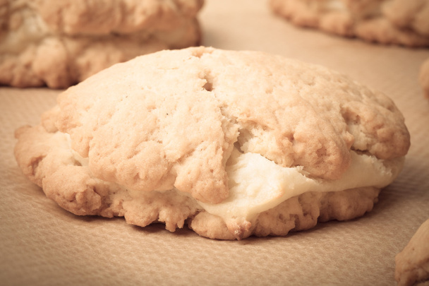 Cookies with cottage cheese - sochnik on baking paper. Toned - 写真・画像