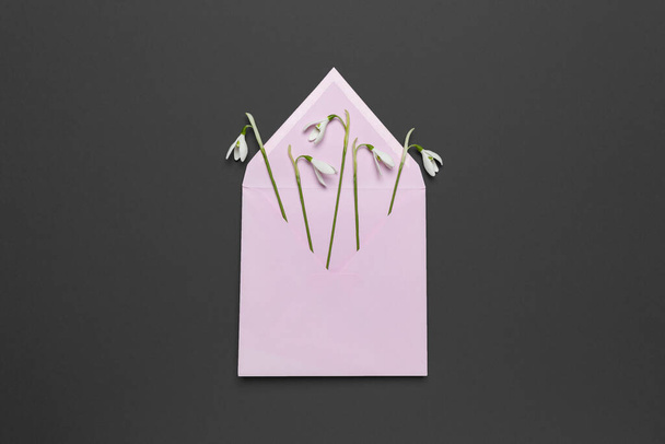 Fresh beautiful snowdrops flowers in envelope isolated on black background. Invitation on wedding or birthday. Surprise letter (mail), creative art gift card. - 写真・画像