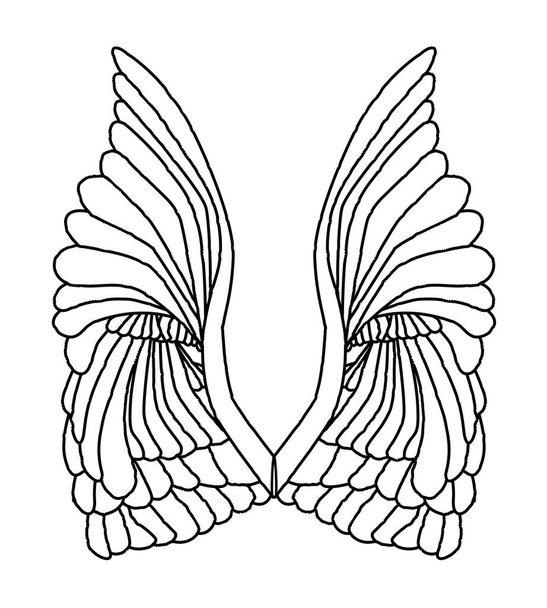 Чорна лінія зображення пари ангельських крил на білому фоні
 - Вектор, зображення