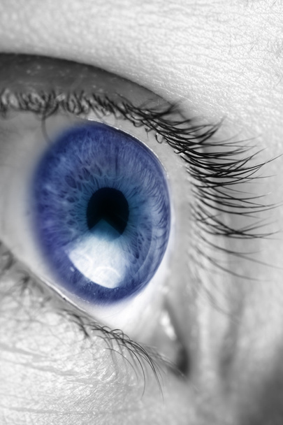 leuchtend blaue Augen Nahaufnahme - Foto, Bild