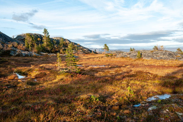 Naturaleza otoñal alrededor de Hjemmeluft en Alta, Finnmark, Noruega - Foto, imagen