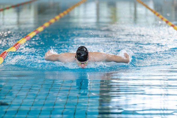 Professional male swimmer performing butterfly style in the indoor lap pool lane, front view. Success, motivation, and effort concept. - Fotó, kép