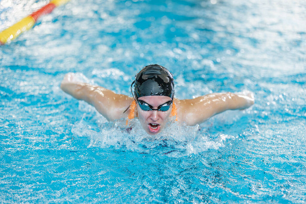 Female competitive swimmer moving through the water performing the butterfly stroke during swimming training, front view. - Foto, Bild