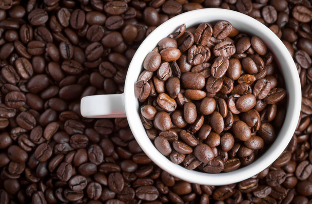Coffee beans in coffee cup. Macro close up. - 写真・画像