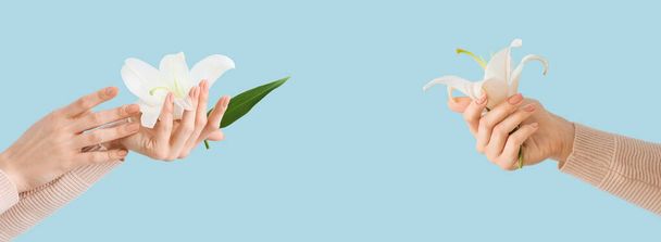 Female hands with natural manicure and white lily flowers on light blue background. Banner for design - Фото, изображение