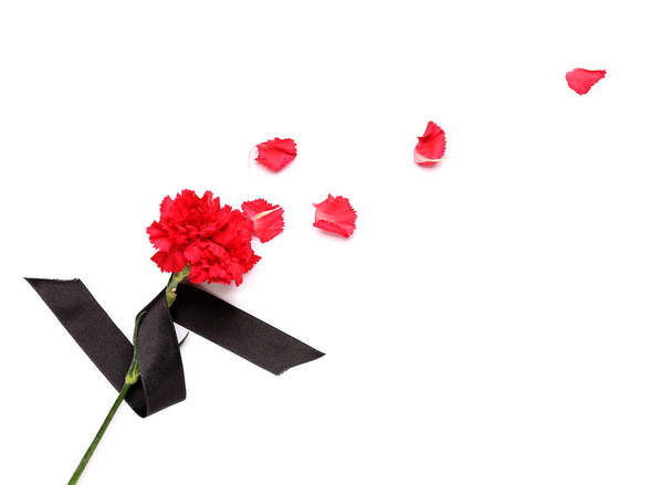Red carnation with petals and black ribbon on white background - Valokuva, kuva