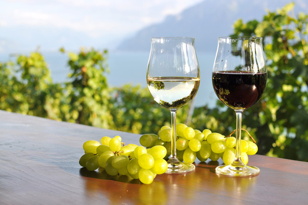 Viini ja viinirypäleet Sveitsissä
 - Valokuva, kuva