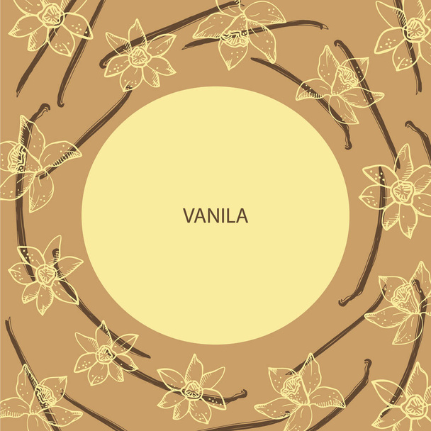 Vanilla label template achtergrond voor tekst. Bloem en stokken van vanille plant vector illustratie met peulen, geurige specerijen. Voor etiketten, kruidenverpakkingen, logo, kaart, spandoek.. - Vector, afbeelding