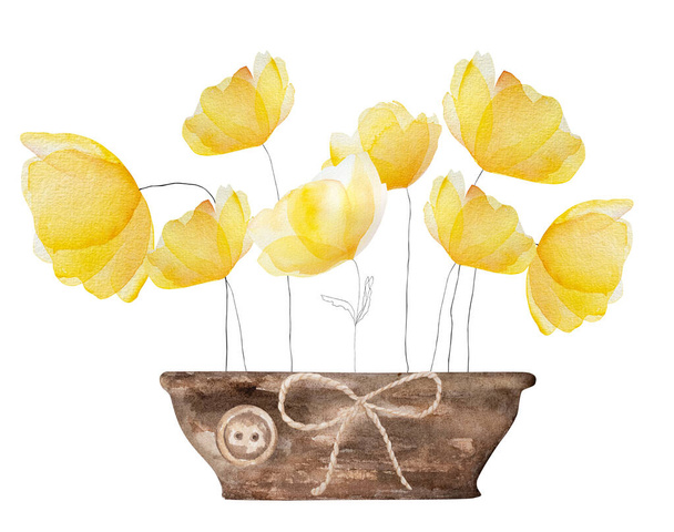 Watercolor spring summer flowers blossom in rustic garden pot. Tender yellow floral bouquet for decoration and postcard design - Φωτογραφία, εικόνα