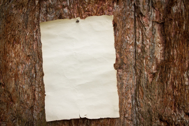 Papier an einen Baum genagelt - Foto, Bild
