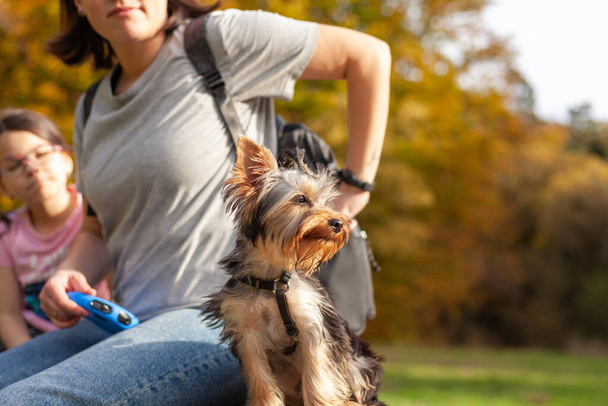 Bambina e sua madre con Yorkshire Terrier dog nel parco autunnale - Foto, immagini