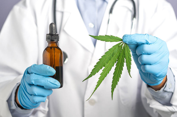大麻の葉と医療用マリファナ油の医師の手を握っています。個人的な使用のための大麻のレシピ,法的軽い薬は、処方します,代替治療法や薬,医学の概念.クローズアップ写真. - 写真・画像