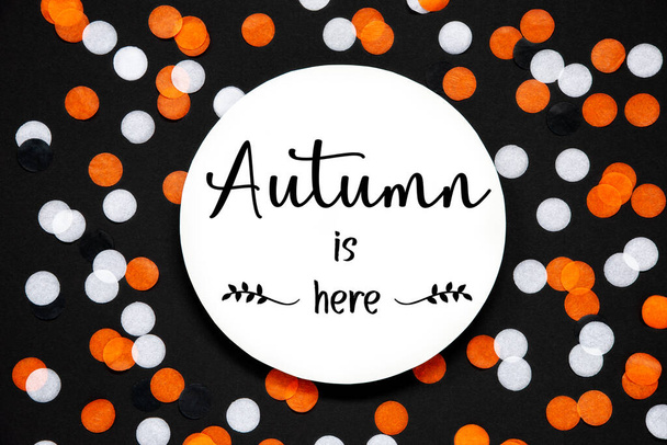 Autumnal Colors, Halloween Background, Flat Lay With Label With Text Autumn Is Here - Foto, afbeelding
