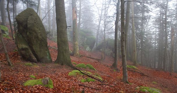 De zandstenen rotsen in mistige bos - Foto, afbeelding