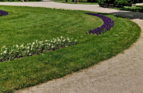 cama de flores ornamentales frente al castillo en la planta baja. Plantar plantas anuales tiene la forma de un círculo o tiras bordeadas por un hermoso césped. Patrones irreales originarios del Barroco - Foto, imagen