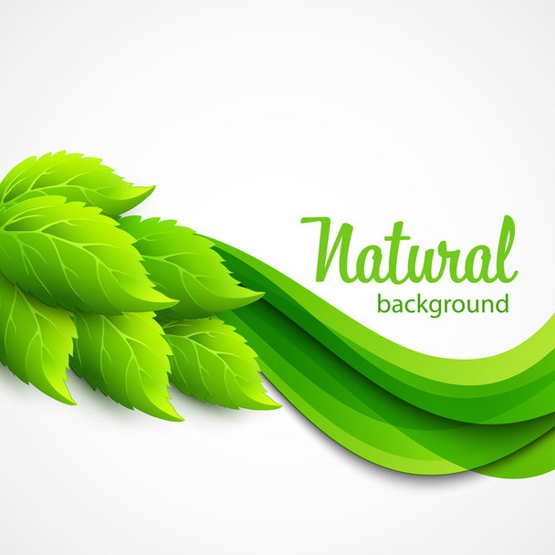 Естественный векторный фон с зелеными весенними листьями
 - Вектор,изображение