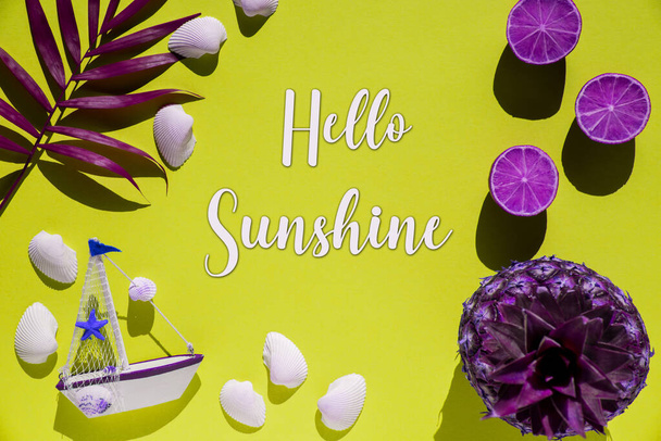 Flat Lay With English Text Hello Sunshine. Yellow Background Wit Decoration Like Purple Pineapple, Shells, Boat And Lemons. - Photo, Image