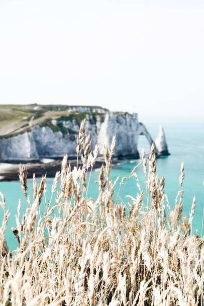piękne skały klifowe w Etretat Normandy Fotografia - Zdjęcie, obraz