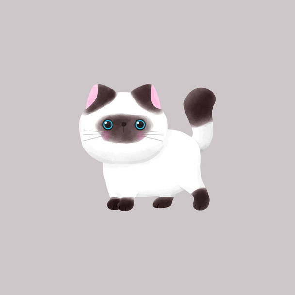 cute Himalayan cat vector illustration  - Vector, Image