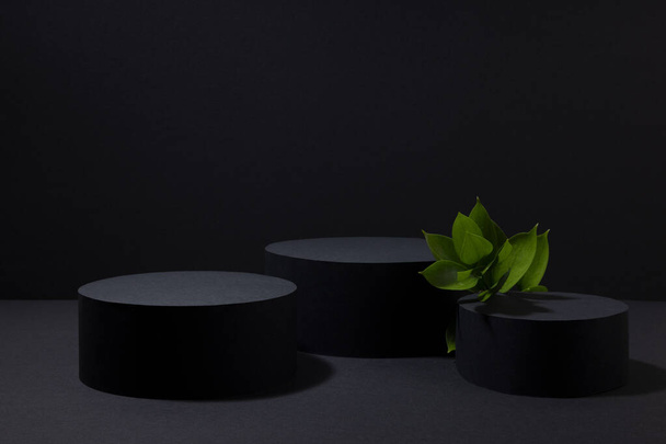 Black abstract stage with three circle podiums mockup, fresh tropical green leaves, template for presentation cosmetic products, goods, design, advertising, sale, in spa treatment, skin care style. - Photo, image