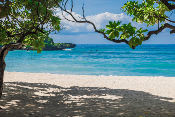 Tropischer Urlaubsbanner von Luxusstrand mit tropischen Bäumen, Sand und ruhigem blauen Meer. - Foto, Bild