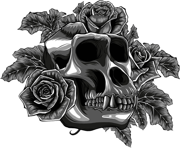 иллюстрация черепа обезьяны с розами - Вектор,изображение