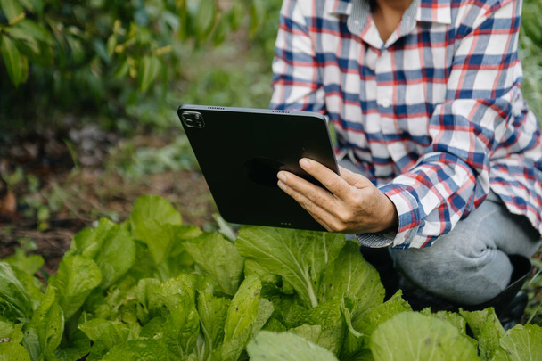 Farmer woman using digital tablet computer in field, technology application in agricultural growing activity, in morning light - Foto, Bild