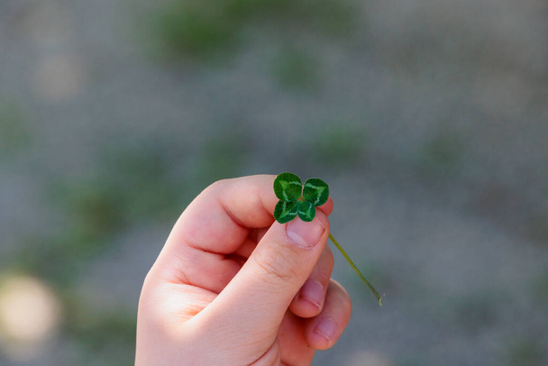 A child's hand holds a four-leaf clover against a blurred background with text space above - Foto, Imagem