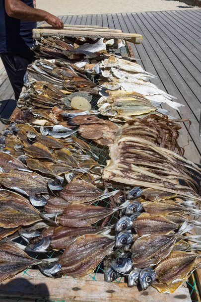 Назаре в Португалії, солоні риби, що продаються на пляжі, в традиційному базарі. - Фото, зображення