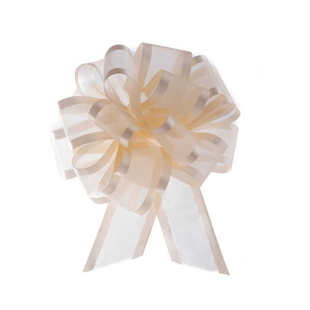 Organza ribbon bow - Photo, Image