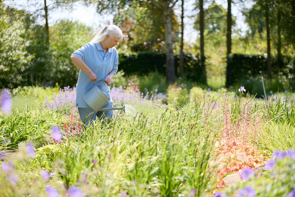 Retired Senior Woman Working Part Time Job In Garden Centre Watering Plants - Foto, afbeelding