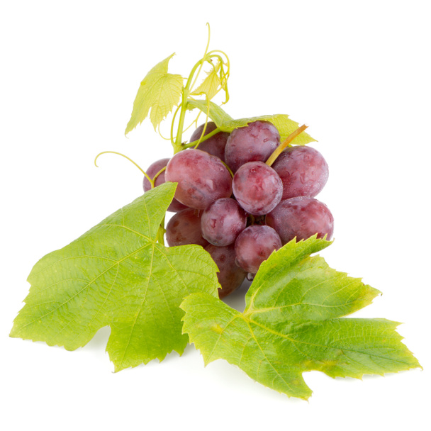 Stelletje rode druiven - Foto, afbeelding