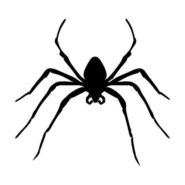 Spider silhouette isolated on white background. Icon Vector illustration - Vector, Image