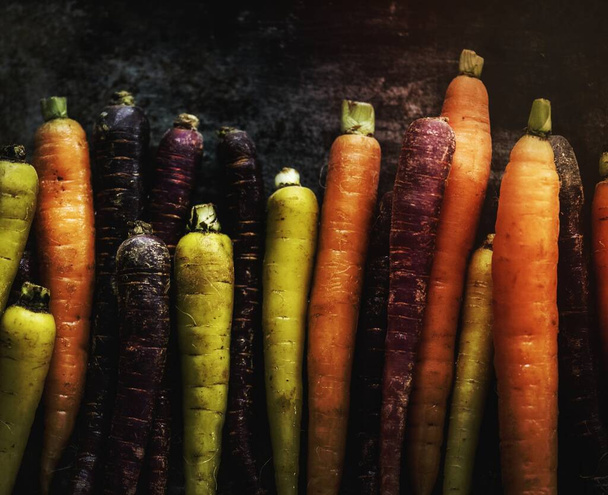 Variedad de zanahorias frescas comestibles - Foto, imagen