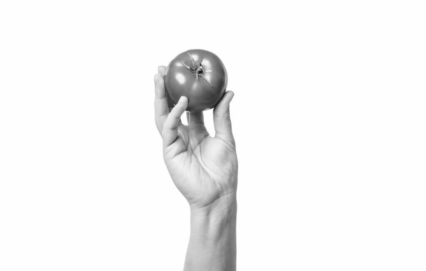 red tomato vegetable in hand isolated on white background. - 写真・画像