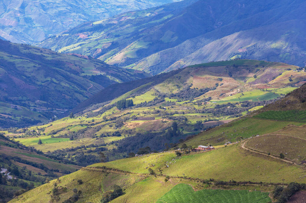 Paysages ruraux dans les montagnes verdoyantes colombiennes - Photo, image