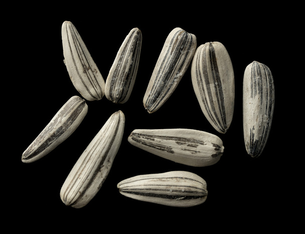 Sunflower seeds on black - Photo, Image