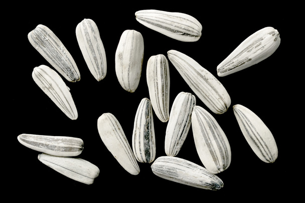 Semi di girasole bianco su nero
 - Foto, immagini
