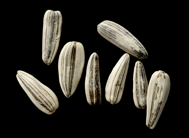 Σπόροι ηλίανθων λευκό σε μαύρο - Φωτογραφία, εικόνα