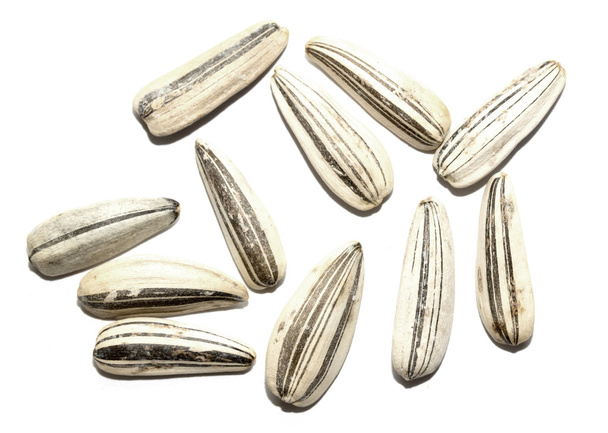 Dry sunflower seeds - Photo, Image