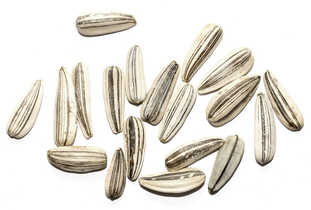 semi di girasole secchi
 - Foto, immagini
