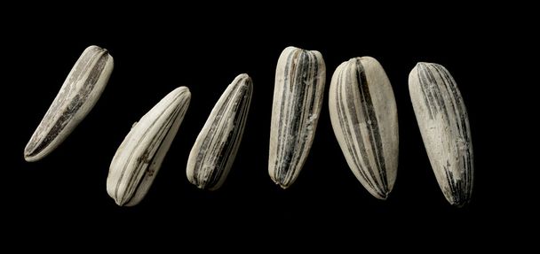 Graines de tournesol blanches sur noir
 - Photo, image