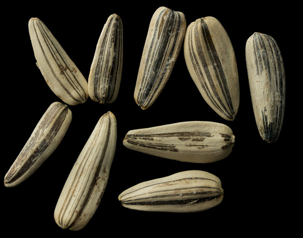 Біле насіння соняшнику на чорному
 - Фото, зображення